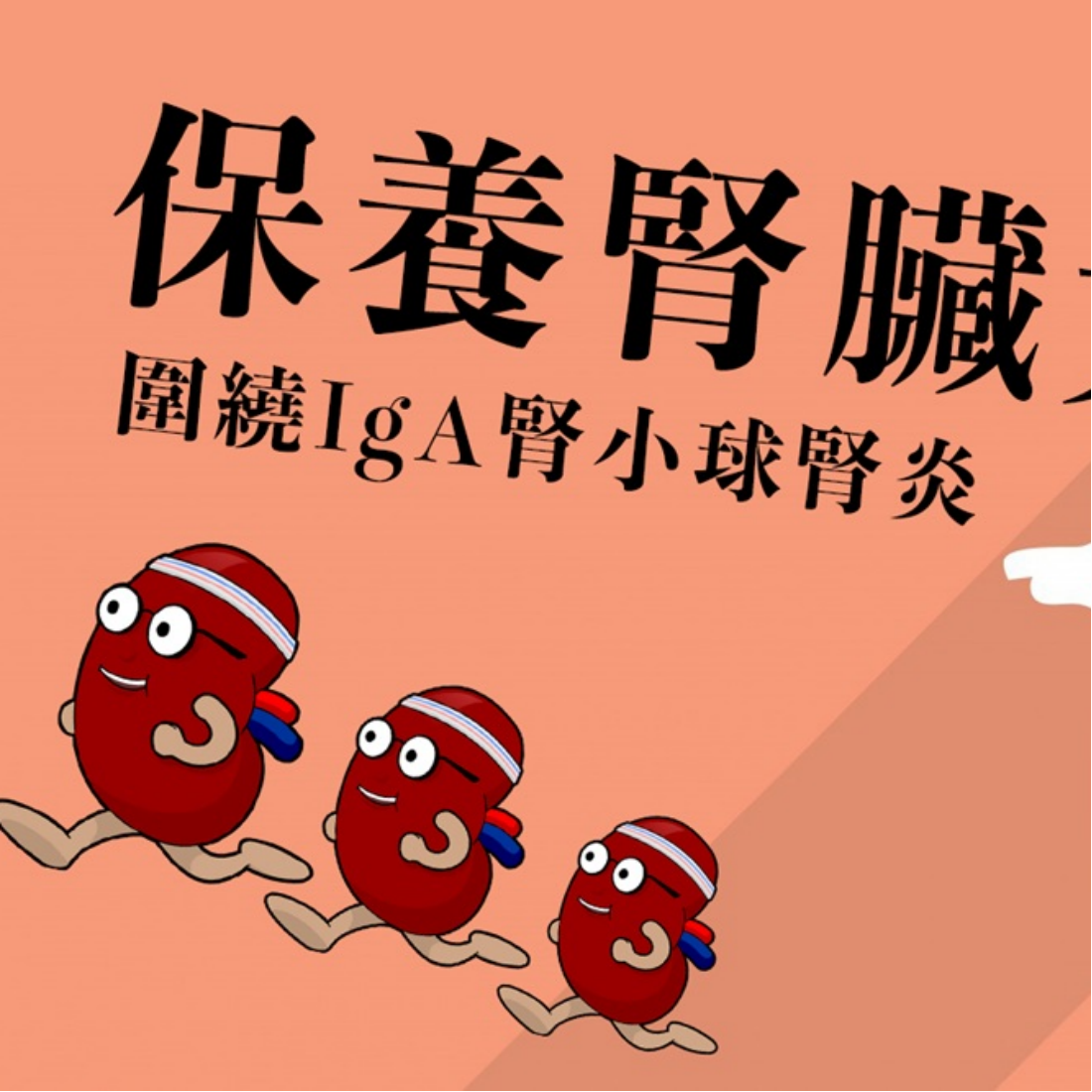 圍繞「IgA腎小球腎炎」