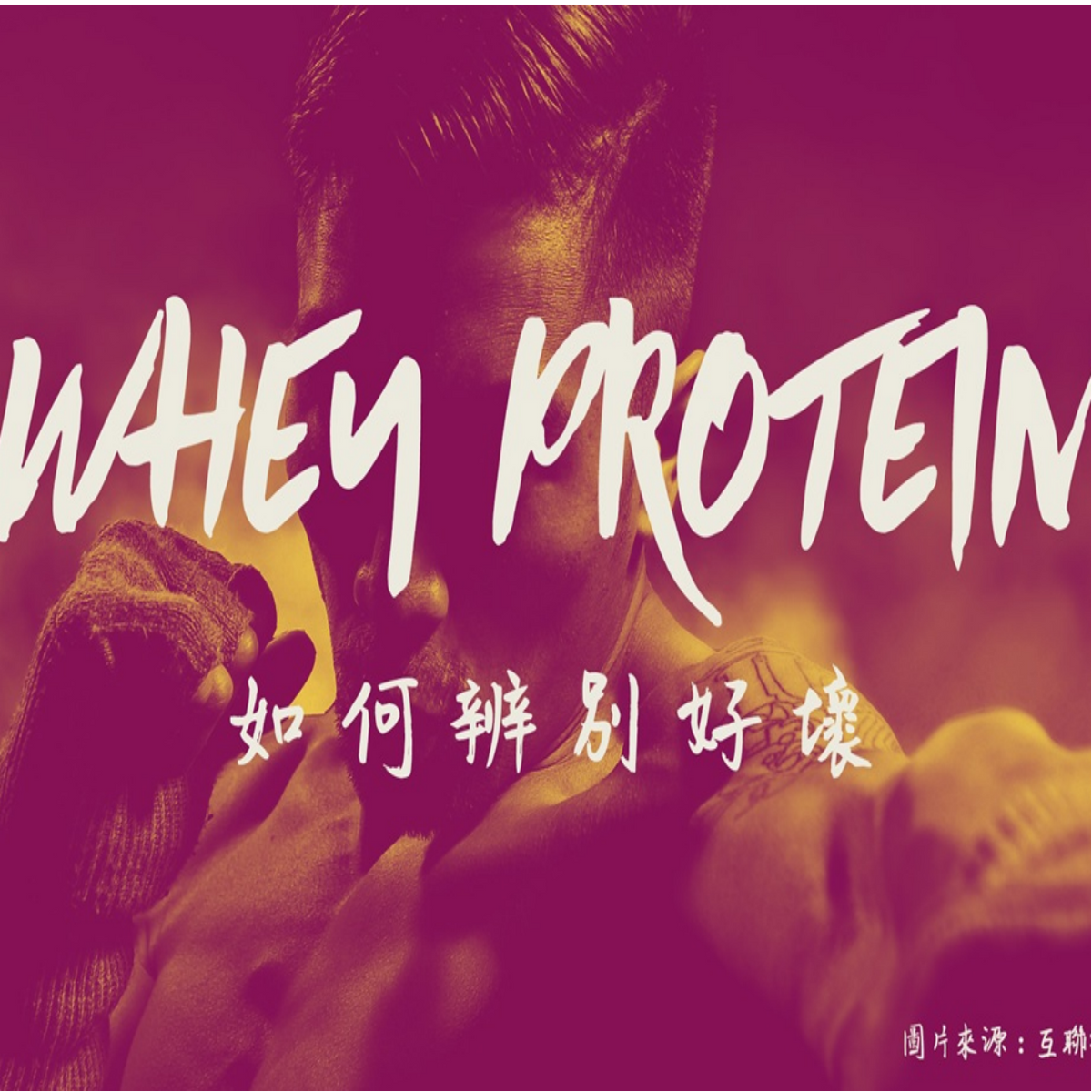 如何辨別Whey Protein (乳清蛋白)的好壞?