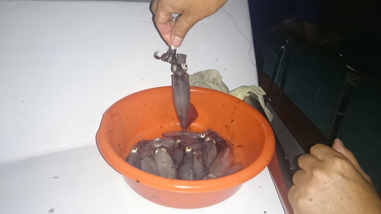 夜釣墨魚: 讓人生再不黑暗!