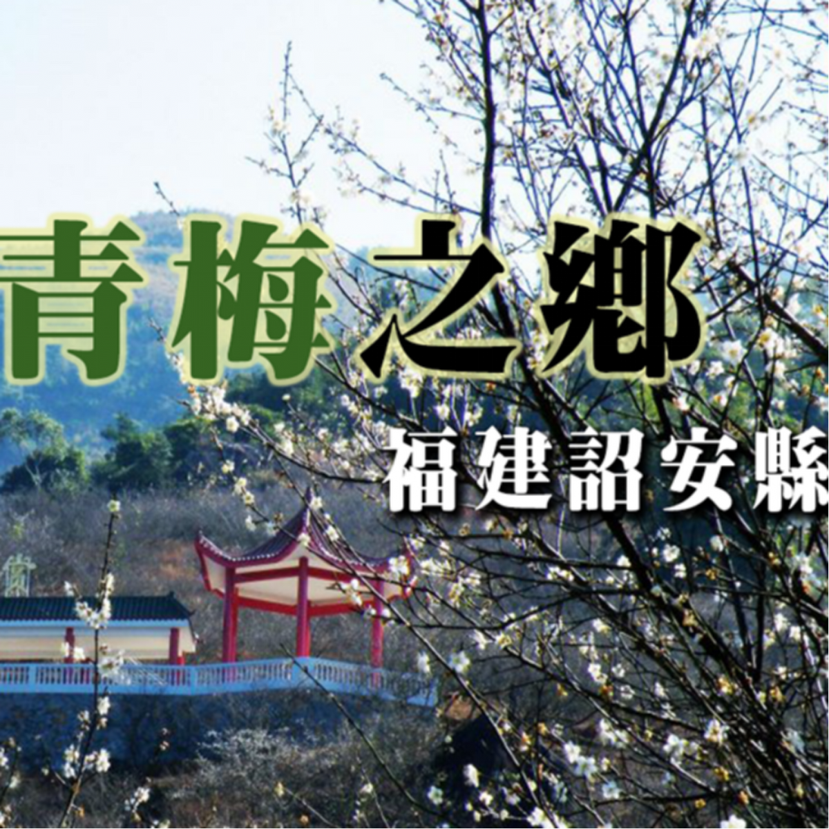 福建人發明的梅精
