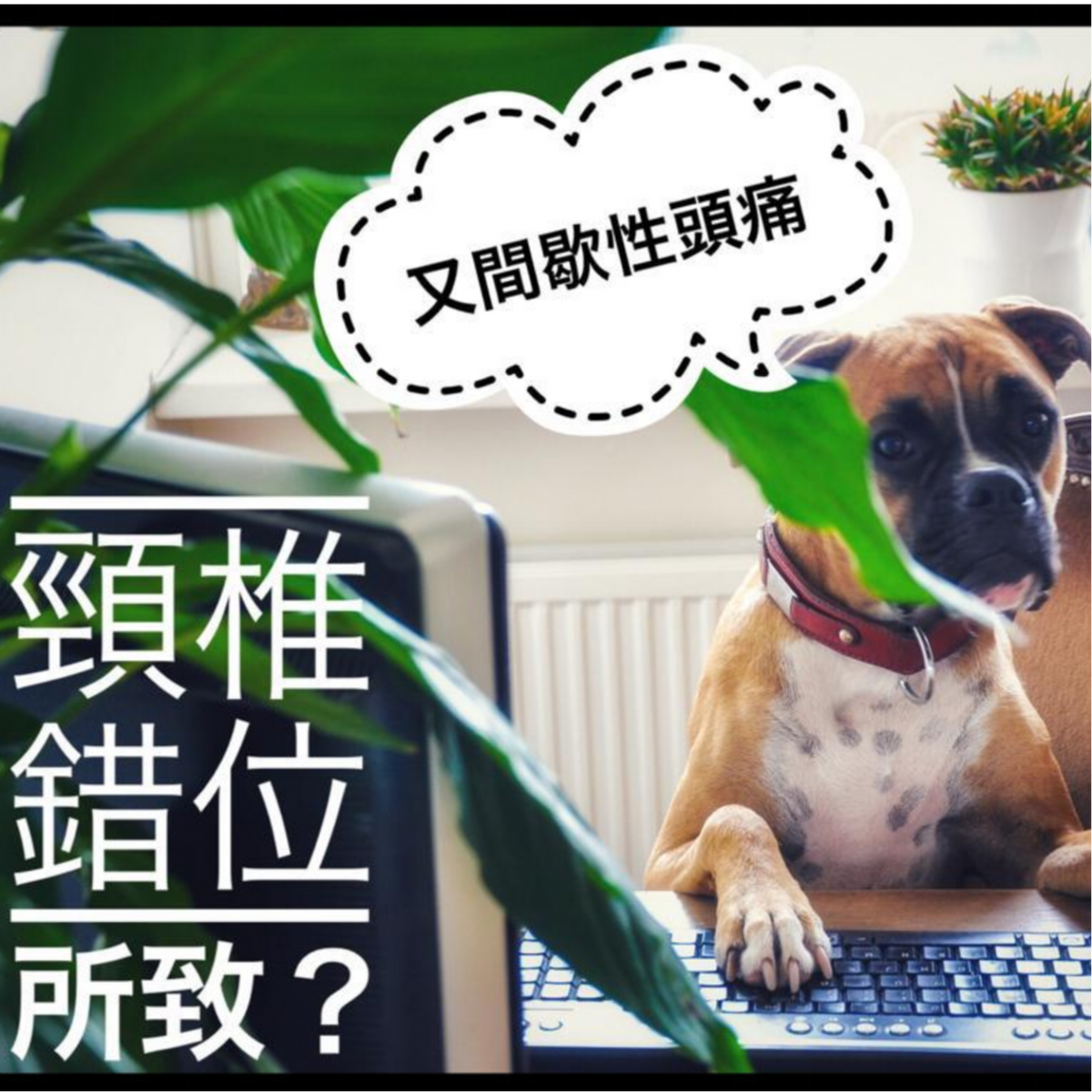 間歇性頭痛 或因頸椎錯位所致