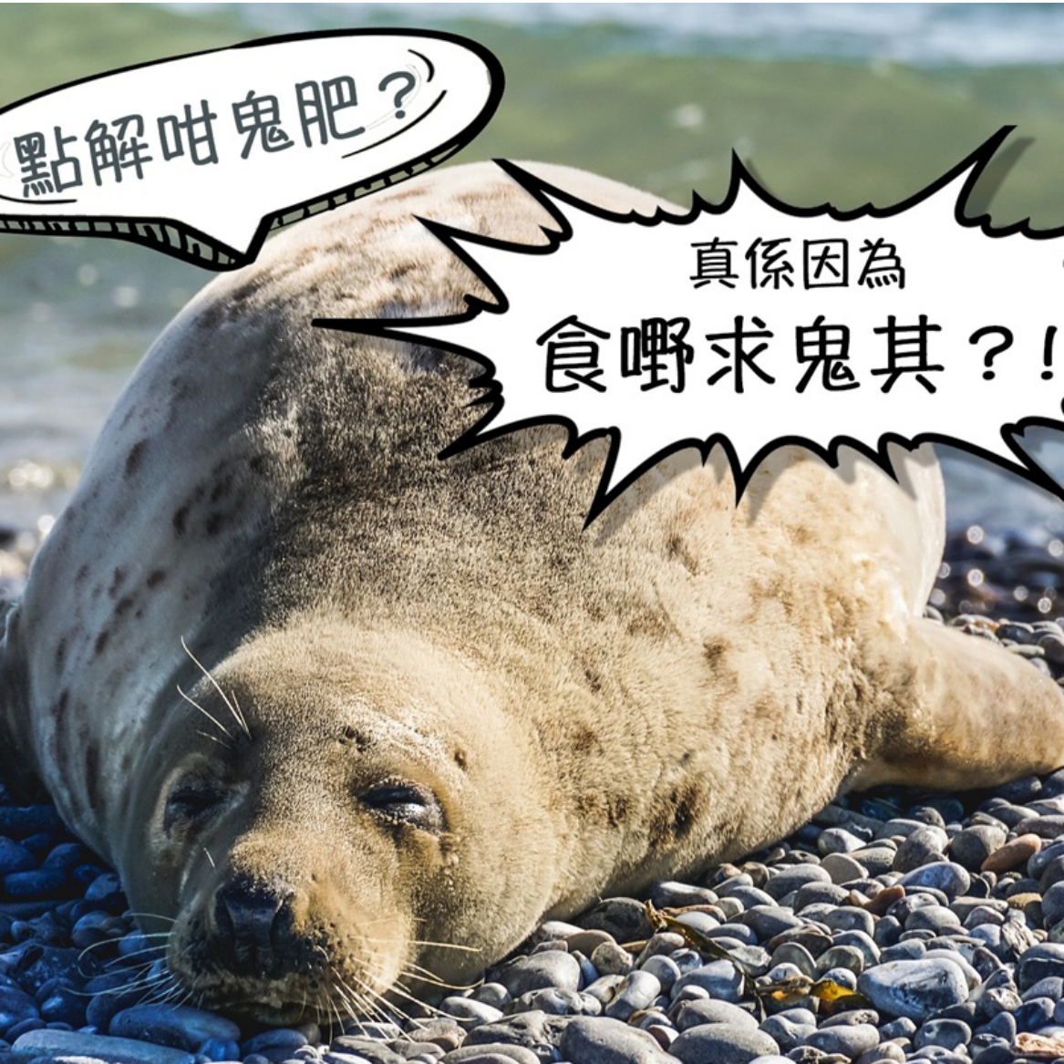 下半身肥胖的成因