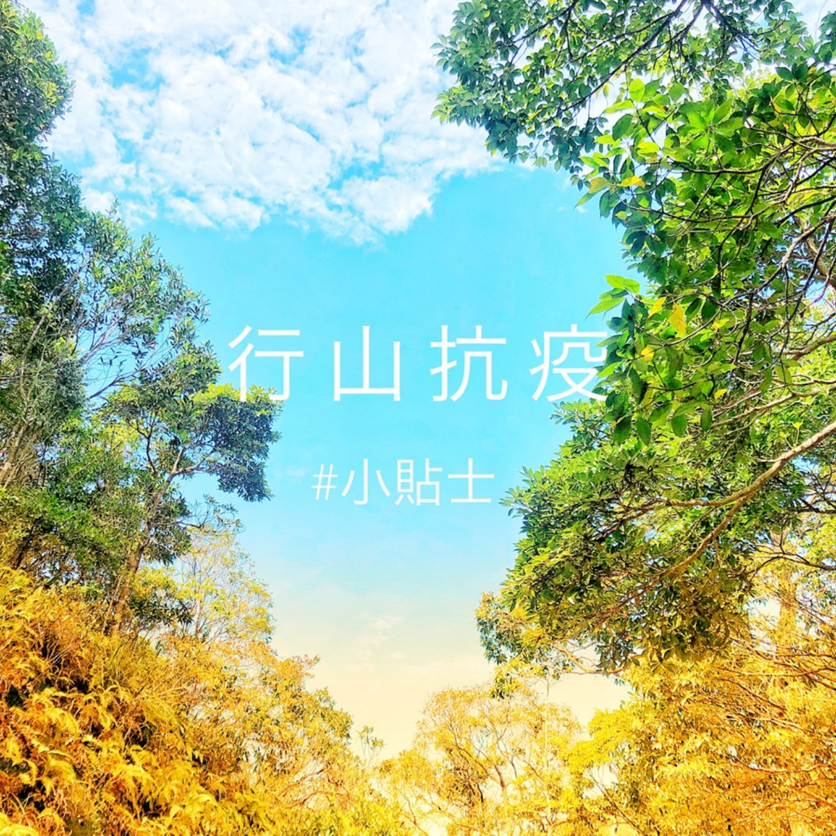 行山抗疫小貼士