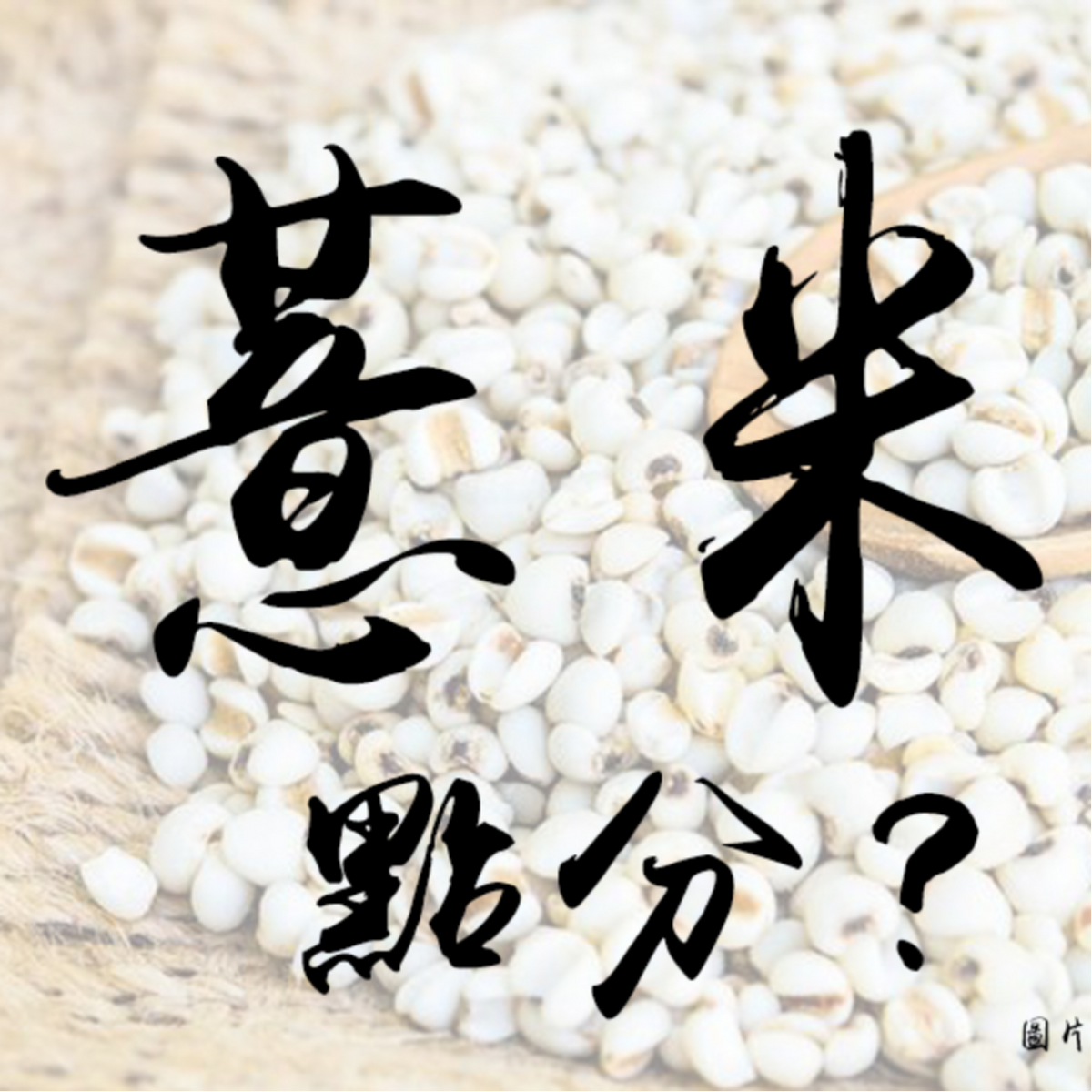 點分薏米？