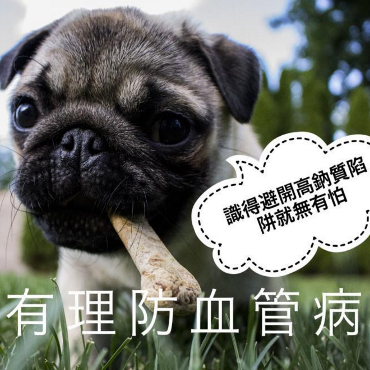 吃鹹有理防血管病