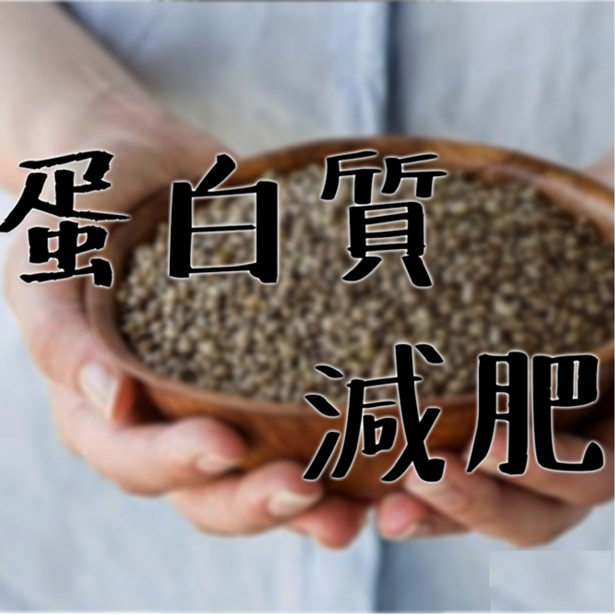 大麻籽蛋白質減肥