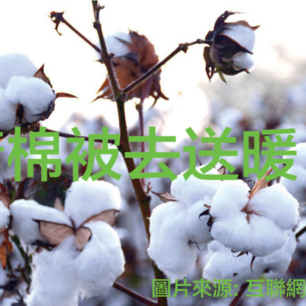帶着棉被去送暖